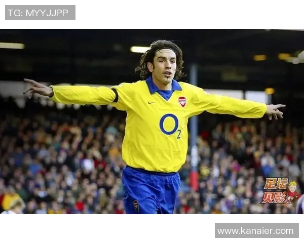 足球明星罗贝尔的职业生涯与成就全解析